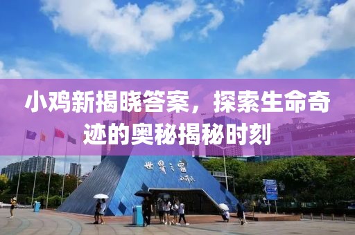 小鸡新揭晓答案，探索生命奇迹的奥秘揭秘时刻
