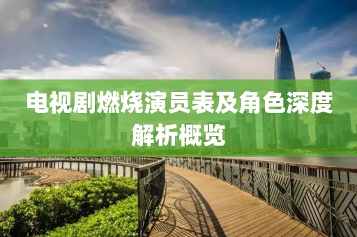 电视剧燃烧演员表及角色深度解析概览