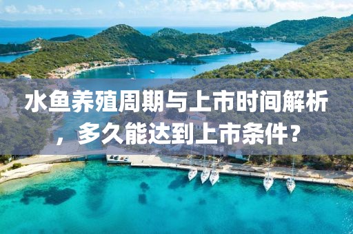 水鱼养殖周期与上市时间解析，多久能达到上市条件？
