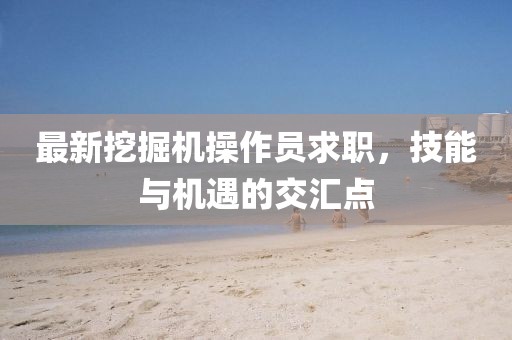 最新挖掘机操作员求职，技能与机遇的交汇点