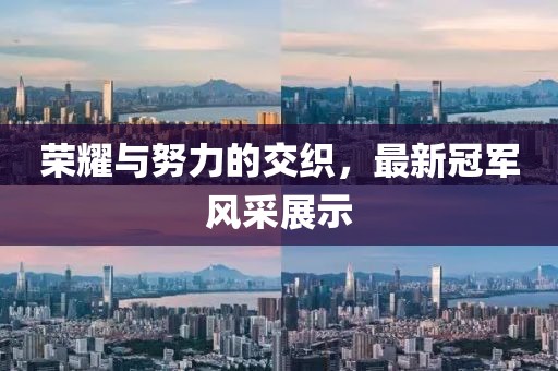 荣耀与努力的交织，最新冠军风采展示