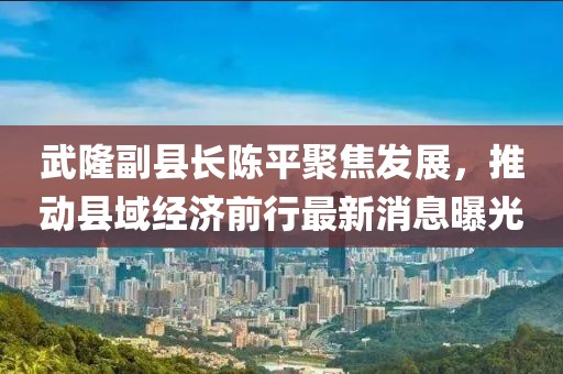 武隆副县长陈平聚焦发展，推动县域经济前行最新消息曝光