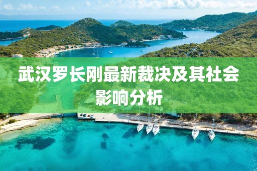 武汉罗长刚最新裁决及其社会影响分析