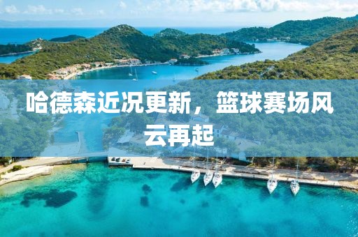 哈德森近况更新，篮球赛场风云再起