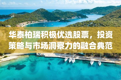 华泰柏瑞积极优选股票，投资策略与市场洞察力的融合典范