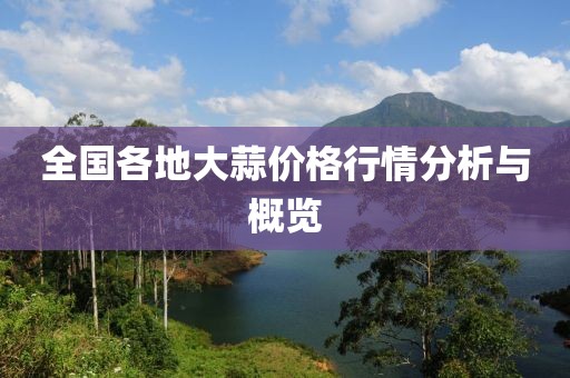 全国各地大蒜价格行情分析与概览
