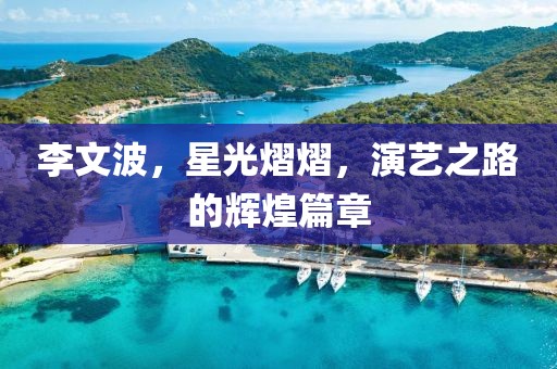 李文波，星光熠熠，演艺之路的辉煌篇章