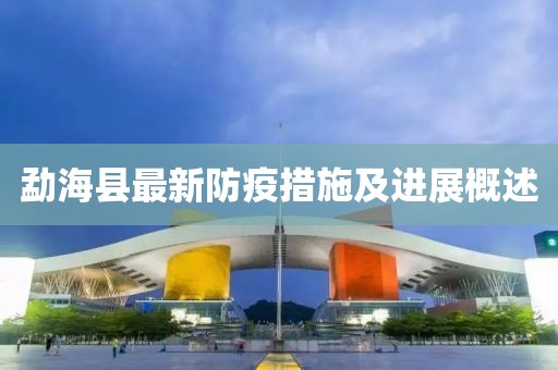 勐海县最新防疫措施及进展概述