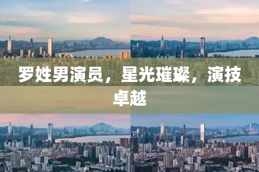 罗姓男演员，星光璀璨，演技卓越