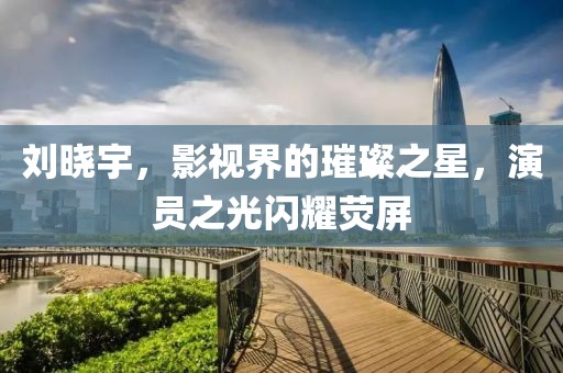 刘晓宇，影视界的璀璨之星，演员之光闪耀荧屏