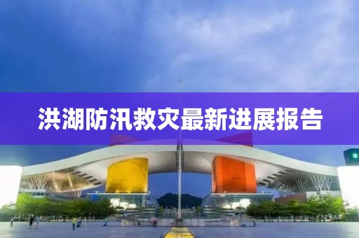 洪湖防汛救灾最新进展报告