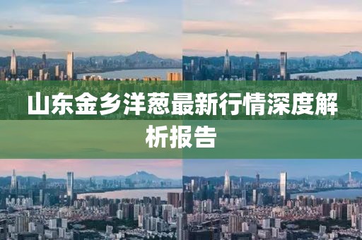 山东金乡洋葱最新行情深度解析报告