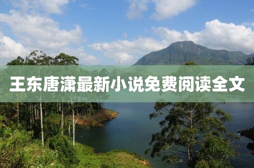 王东唐潇最新小说免费阅读全文