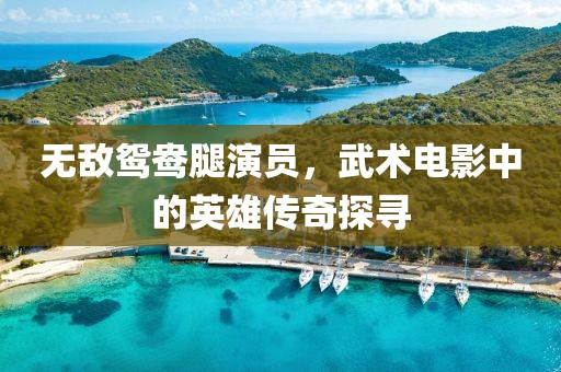 无敌鸳鸯腿演员，武术电影中的英雄传奇探寻