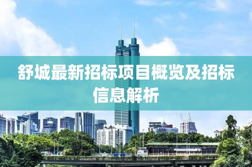 舒城最新招标项目概览及招标信息解析