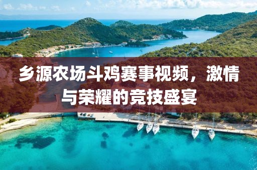 乡源农场斗鸡赛事视频，激情与荣耀的竞技盛宴