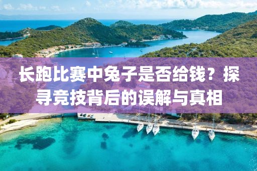长跑比赛中兔子是否给钱？探寻竞技背后的误解与真相