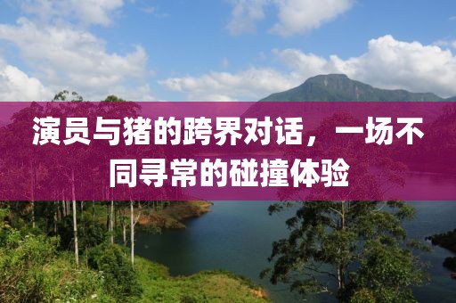 演员与猪的跨界对话，一场不同寻常的碰撞体验