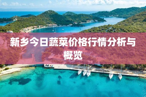新乡今日蔬菜价格行情分析与概览