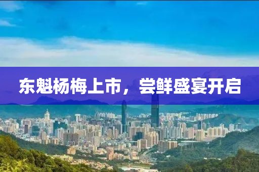 东魁杨梅上市，尝鲜盛宴开启