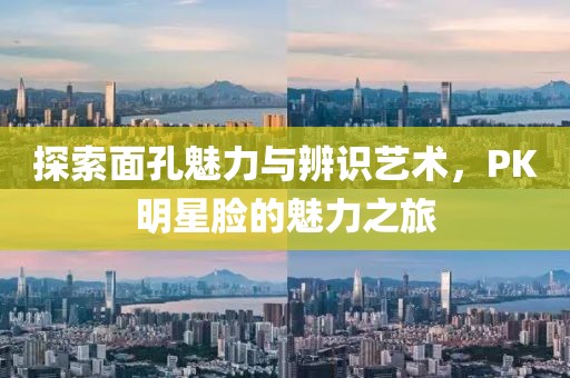探索面孔魅力与辨识艺术，PK明星脸的魅力之旅