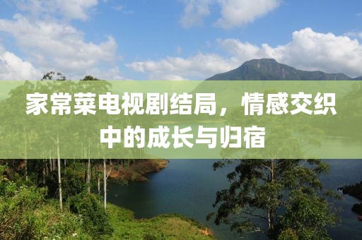 家常菜电视剧结局，情感交织中的成长与归宿