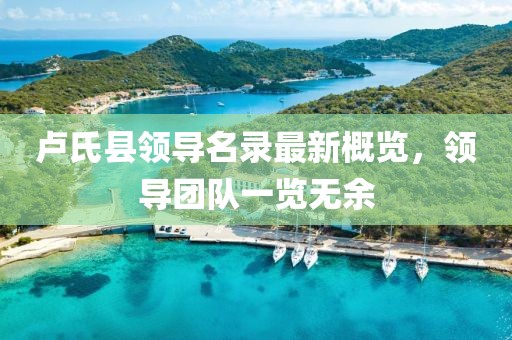 卢氏县领导名录最新概览，领导团队一览无余