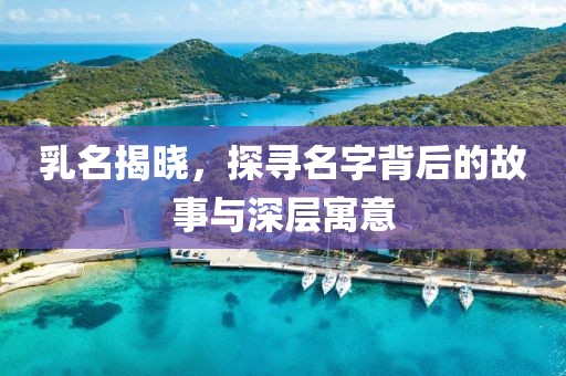 乳名揭晓，探寻名字背后的故事与深层寓意