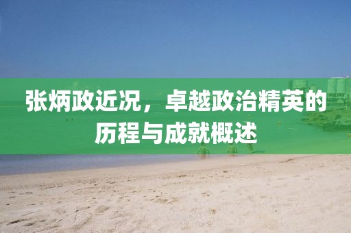张炳政近况，卓越政治精英的历程与成就概述