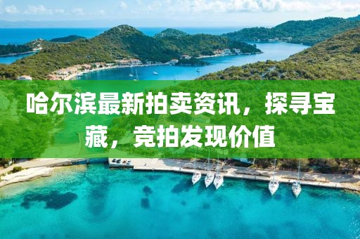 哈尔滨最新拍卖资讯，探寻宝藏，竞拍发现价值