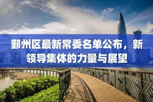 鄞州区最新常委名单公布，新领导集体的力量与展望