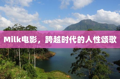 Milk电影，跨越时代的人性颂歌