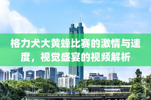 格力犬大黄蜂比赛的激情与速度，视觉盛宴的视频解析