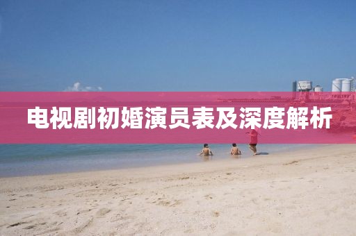 电视剧初婚演员表及深度解析