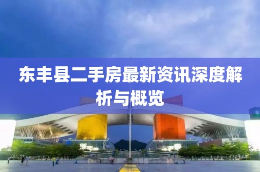 东丰县二手房最新资讯深度解析与概览