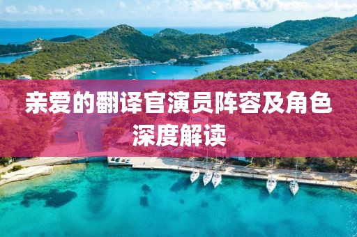 亲爱的翻译官演员阵容及角色深度解读