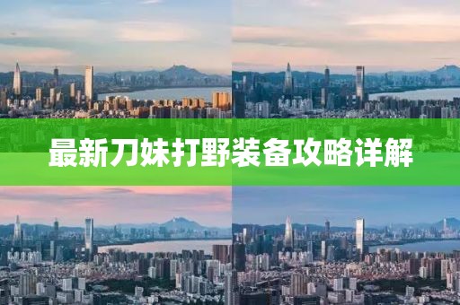 最新刀妹打野装备攻略详解