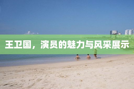 王卫国，演员的魅力与风采展示