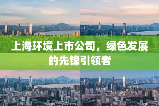 上海环境上市公司，绿色发展的先锋引领者