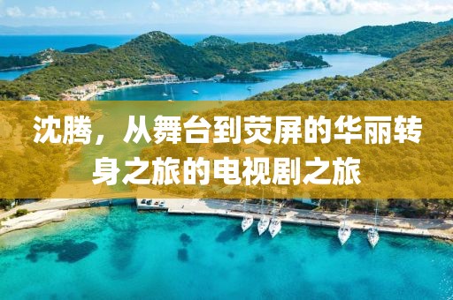 沈腾，从舞台到荧屏的华丽转身之旅的电视剧之旅