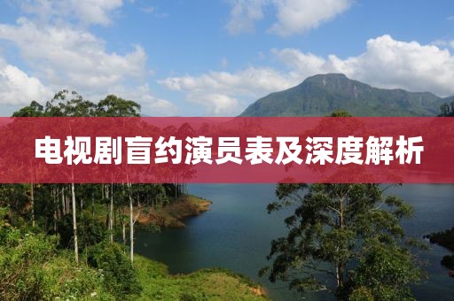 电视剧盲约演员表及深度解析