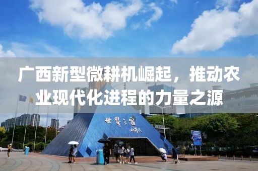忧郁的紫竹 第5页