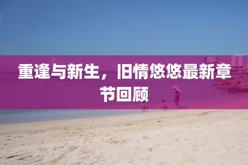 重逢与新生，旧情悠悠最新章节回顾