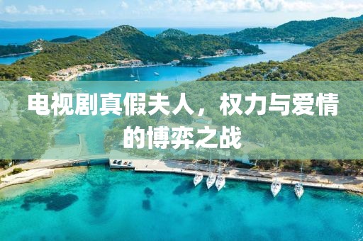 电视剧真假夫人，权力与爱情的博弈之战