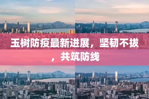 玉树防疫最新进展，坚韧不拔，共筑防线