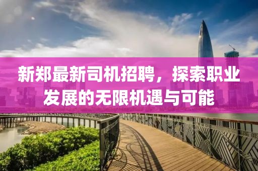 新郑最新司机招聘，探索职业发展的无限机遇与可能