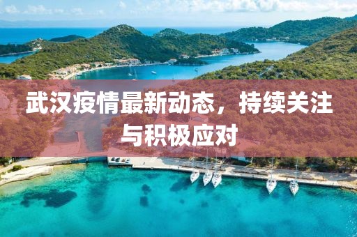 武汉疫情最新动态，持续关注与积极应对