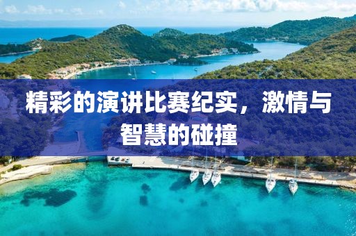 精彩的演讲比赛纪实，激情与智慧的碰撞
