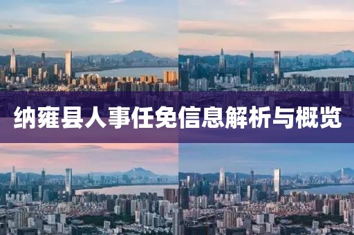 纳雍县人事任免信息解析与概览