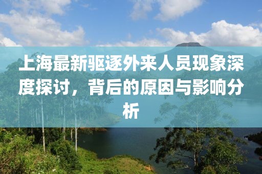 上海最新驱逐外来人员现象深度探讨，背后的原因与影响分析